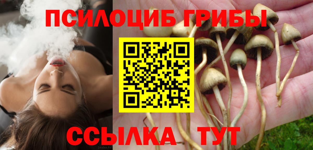 Галлюциногенные грибы Psilocybe Кудымкар
