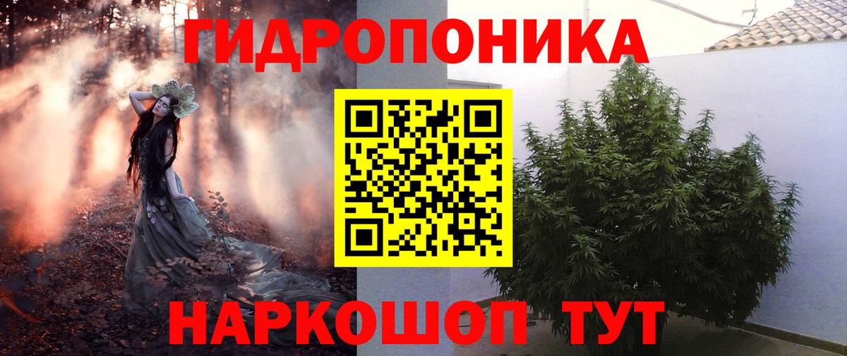 Бошки Шишки LSD WEED  Вход с VPN  Кудымкар  МАРИХУАНА план  Канабис план 